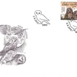 Ochrona przyrody - Sowy