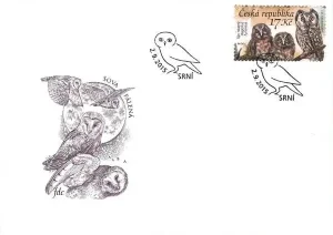 Ochrona przyrody - Sowy