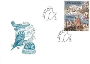 Ochrona przyrody - Sowy