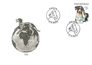 Szczenięta – Czeskiej rasy psów: Czeski pies łaciaty
