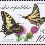 Motyl Paź królowej