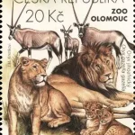 Ochrona przyrody - Ogrody Zoologiczne