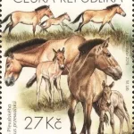 Ochrona przyrody - Ogrody Zoologiczne