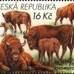 Ochrona przyrody - Ogrody Zoologiczne