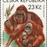 Ochrona przyrody - Ogrody Zoologiczne