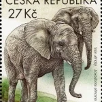Ochrona przyrody - Ogrody Zoologiczne