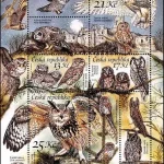 Ochrona przyrody - Sowy