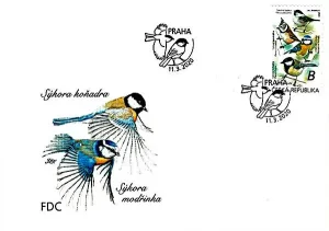 Ptaki śpiewające wokół nas Sikory (Paridae)