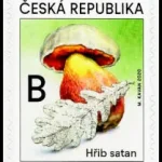 Grzyby trujące