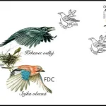 Ptaki śpiewające wokół nas Krukowate (Corvidae)