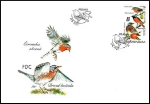 Ptaki śpiewające wokół nas Drozdowate (Turdidae)
