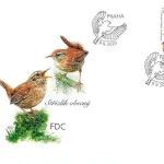 Ptaki śpiewające wokół nas Trznadle (Emberizidae)