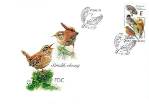 Ptaki śpiewające wokół nas Trznadle (Emberizidae)