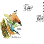 Ptaki śpiewające wokół nas Sikora długoogoniasta (Aegithalidae), wróbel drzewny, wróbel domowy (Passeridae)