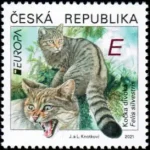 EUROPA - Zagrożone krajowe dzikie bestie - dziki kot