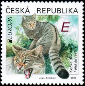 EUROPA - Zagrożone krajowe dzikie bestie - dziki kot