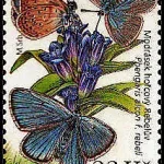 Ochrona Przyrody: Rezerwat przyrody Milovice