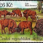 Ochrona Przyrody: Rezerwat przyrody Milovice