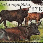 Ochrona Przyrody: Rezerwat przyrody Milovice
