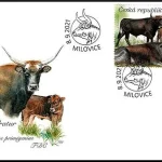 Ochrona Przyrody: Rezerwat przyrody Milovice