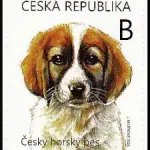 Młode zwierzęta - szczenięta