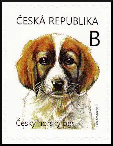 Młode zwierzęta - szczenięta