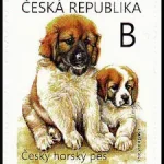 Młode zwierzęta - szczenięta