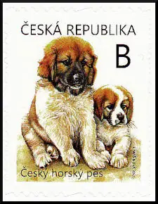 Młode zwierzęta - szczenięta