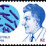 Karel Stýblo i szczepionka przeciw gruźlicy