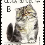 Młode zwierzęta - kocięta