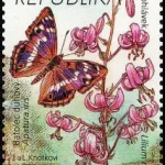 Ochrona Przyrody: Kraina Máchy