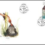 Ochrona Przyrody: Kraina Máchy