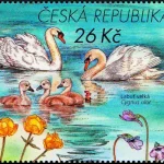 Ochrona Przyrody: Kraina Máchy