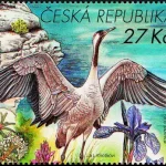 Ochrona Przyrody: Kraina Máchy