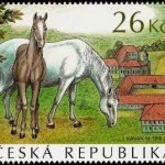 Krajobraz hodowli i szkolenia koni ceremonialnych w Kladrubach nad Łabą