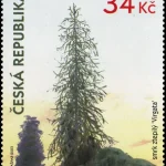 Ogród dendrologiczny w Průhonicach