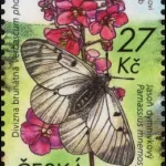 Ochrona przyrody - Park Narodowy Podyjí