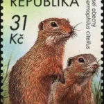 Ochrona przyrody - Park Narodowy Podyjí