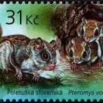 Zwierzęta Europy z młodymi