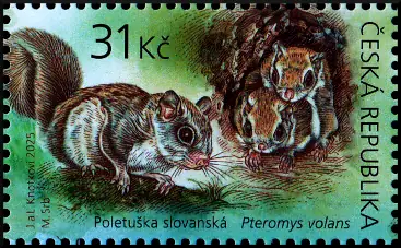 Zwierzęta Europy z młodymi