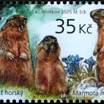 Zwierzęta Europy z młodymi
