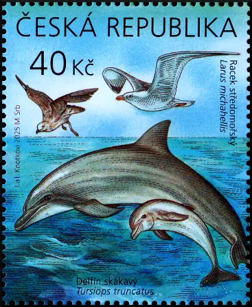 Zwierzęta Europy z młodymi