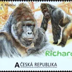 Gwiazdy Praskiego ZOO