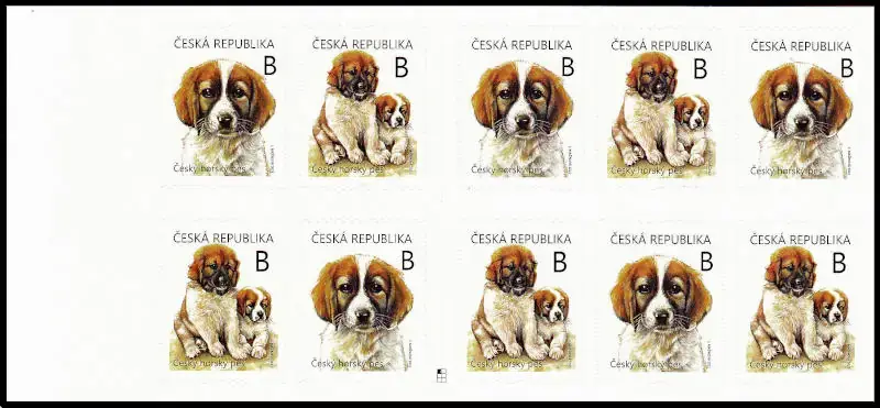 Młode zwierzęta - szczenięta