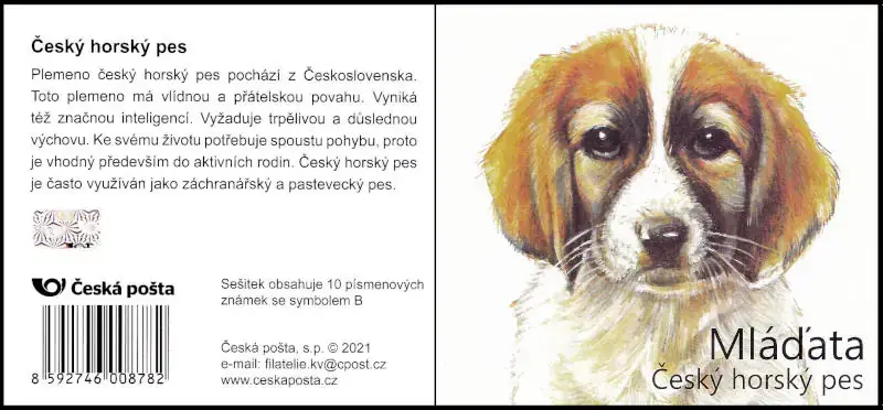 Młode zwierzęta - szczenięta