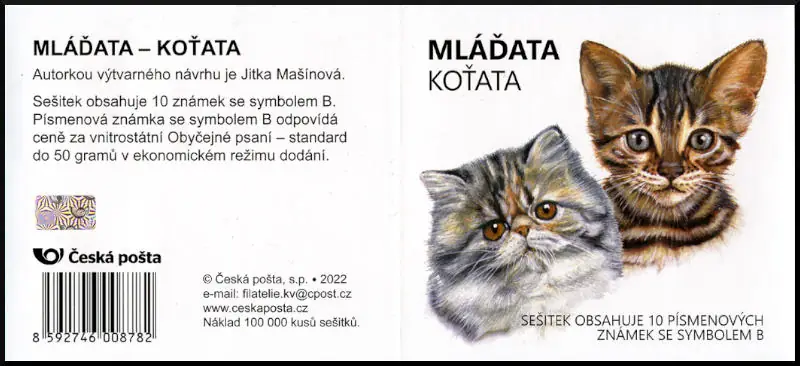 Młode zwierzęta - kocięta