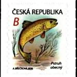 Królestwo wodne: pstrąg potokowy